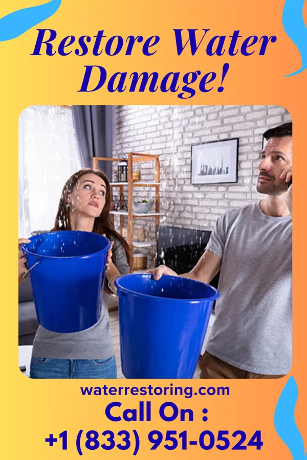water restoration Guardian Disaster Cleanup Services Viola