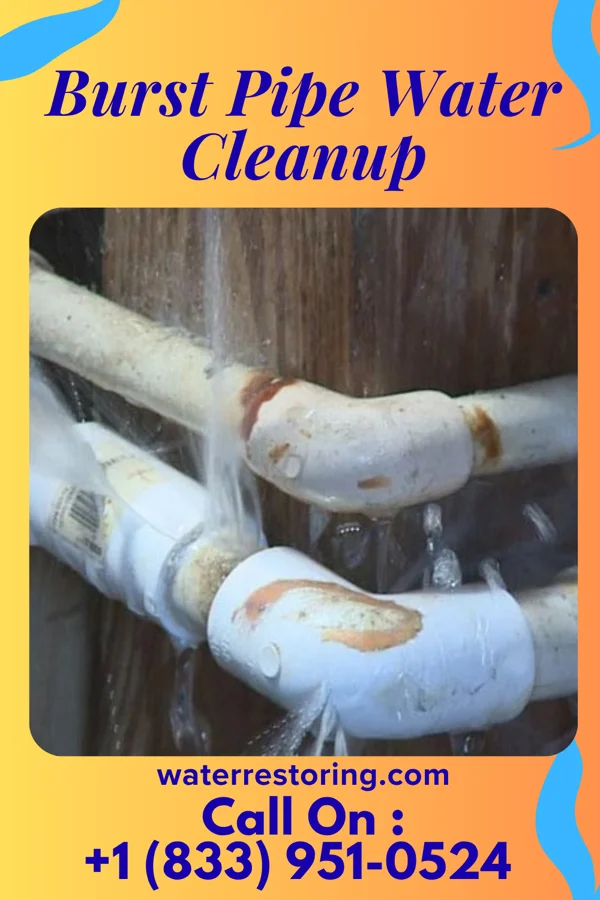 Burst Pipe Water Cleanup in Viola, NY