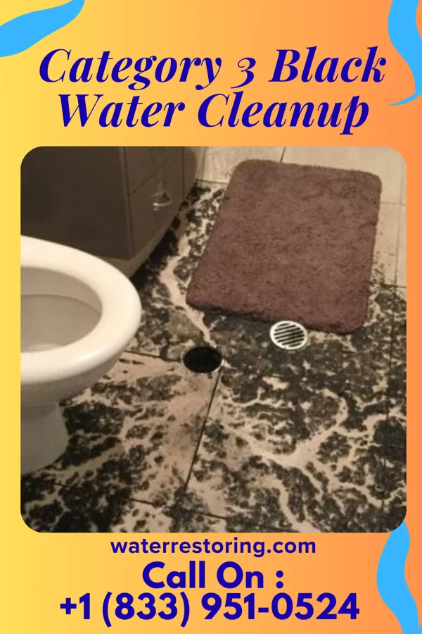 Category 3 Black Water Cleanup in Viola, NY