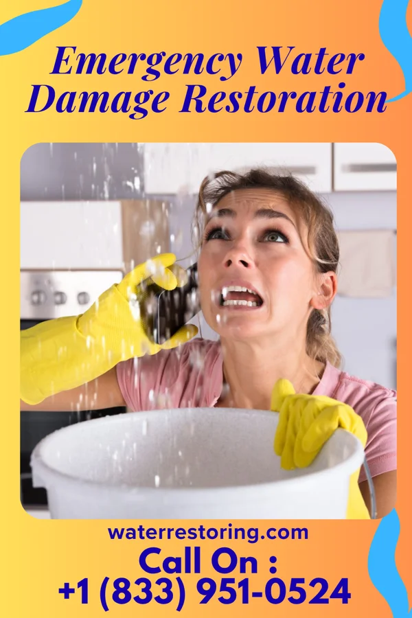 Emergency Water Damage Restoration in Viola, NY