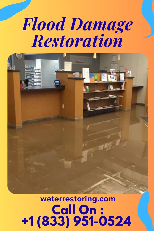 Flood Damage Restoration in Viola, NY