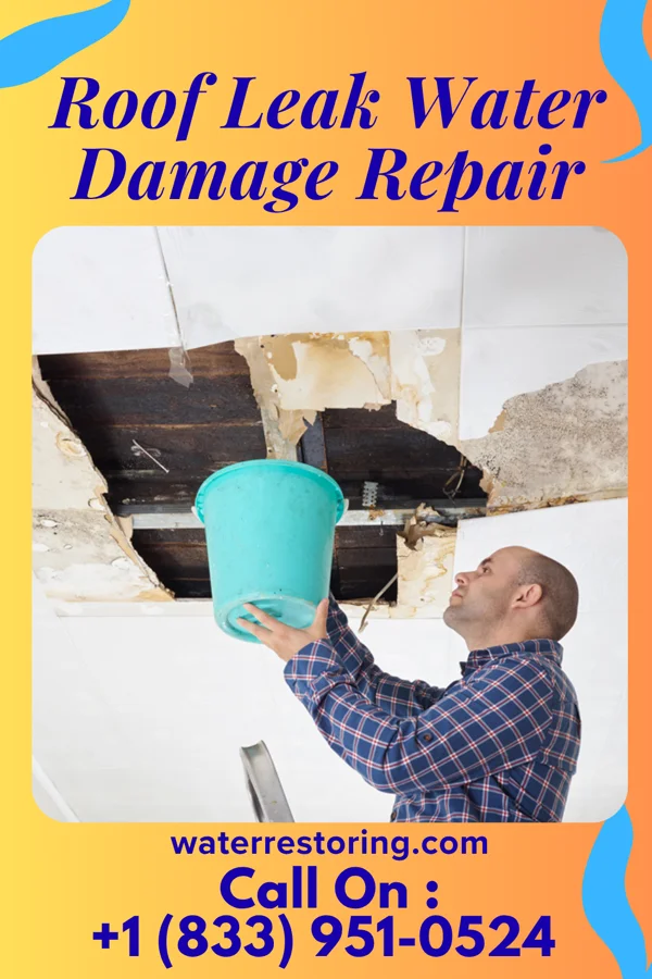 Roof Leak Water Damage Repair in Viola, NY