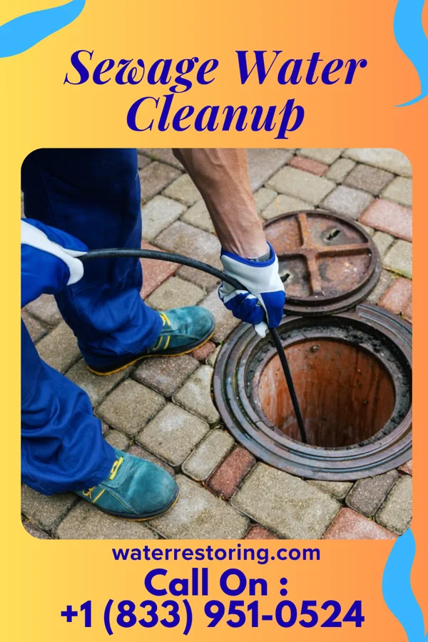 Sewage Water Cleanup in Viola, NY