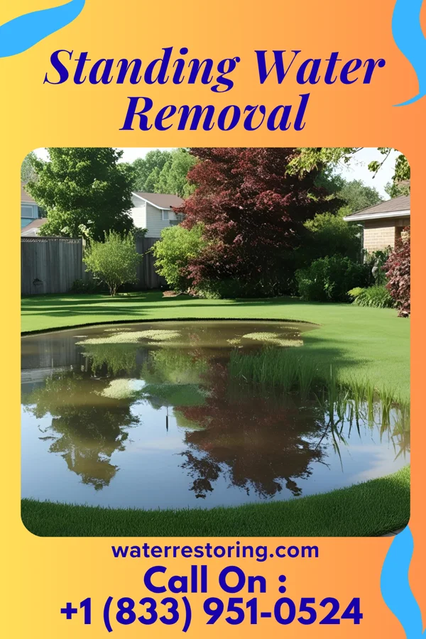 Standing Water Removal in Viola, NY